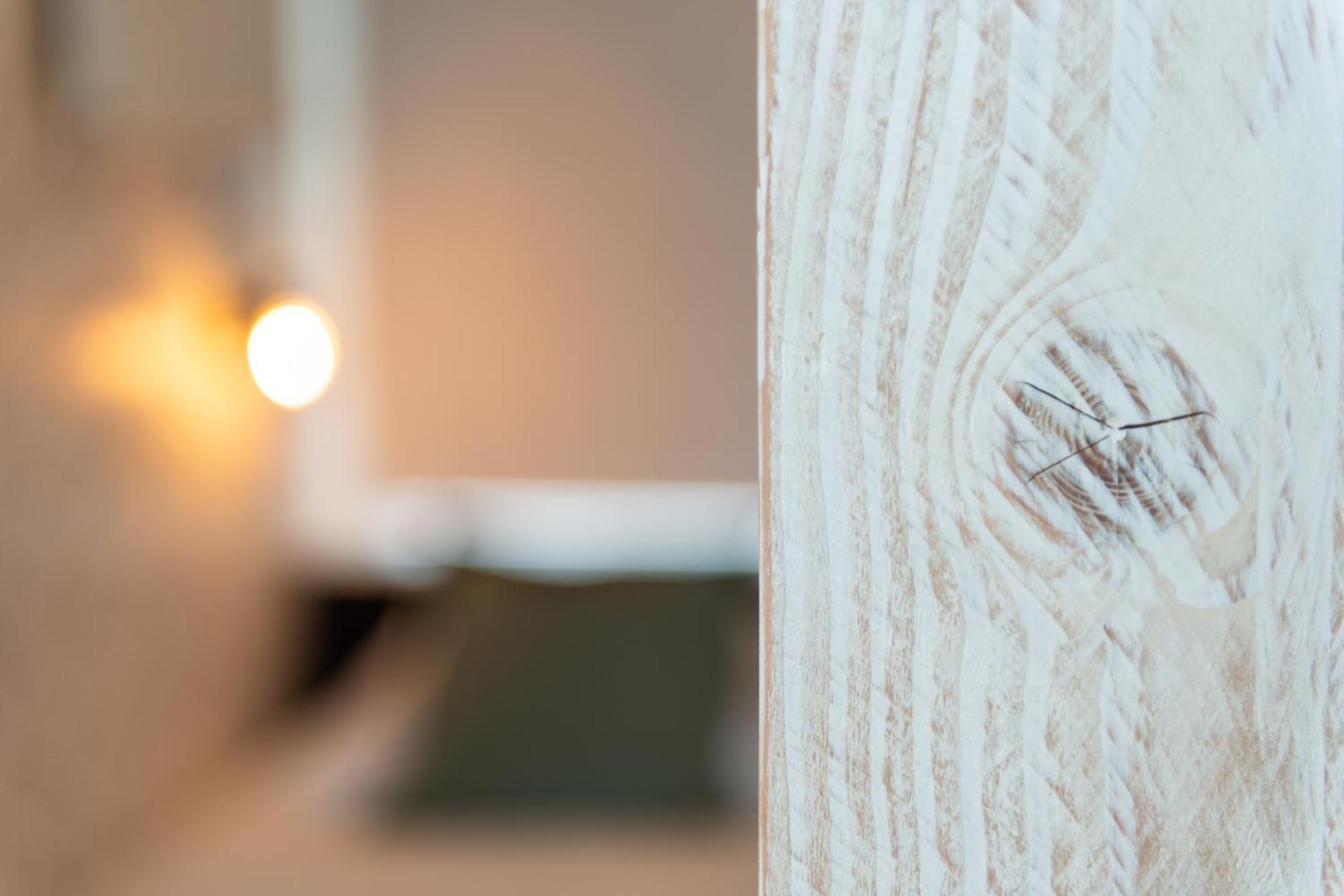 Appartement Zuyd Zandvoort Dış mekan fotoğraf