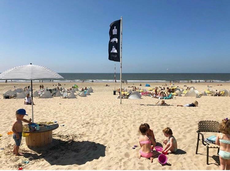Appartement Zuyd Zandvoort Dış mekan fotoğraf