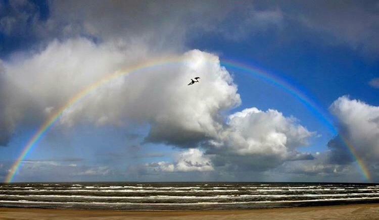 Appartement Zuyd Zandvoort Dış mekan fotoğraf