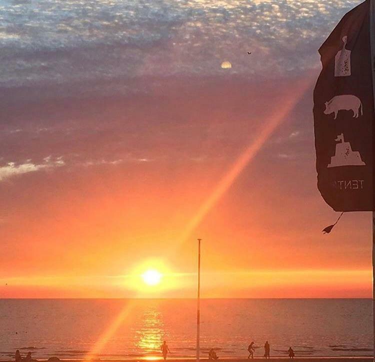 Appartement Zuyd Zandvoort Dış mekan fotoğraf